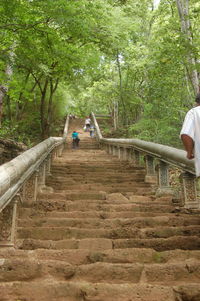 People walking on steps in forest