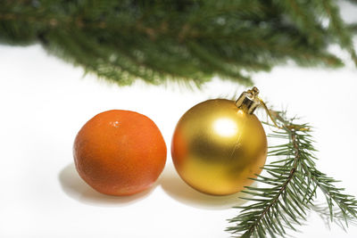 Close-up of christmas tree against white background