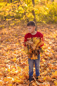 Teenager boy stands thoughtfully on fallen leaves, holding in his hands a lot of yellow leaves