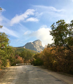 Road by trees against sky