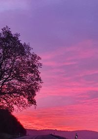 Low angle view of silhouette tree against sky during sunset