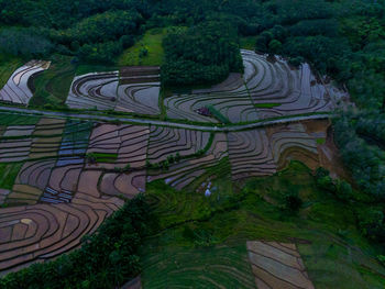 Aerial view beautiful morning view from indonesia about mountain and forest