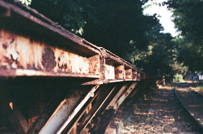 Close-up of rusty wood