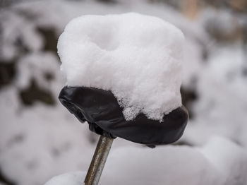 Close-up of snow on leaf