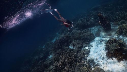 Person swimming in sea