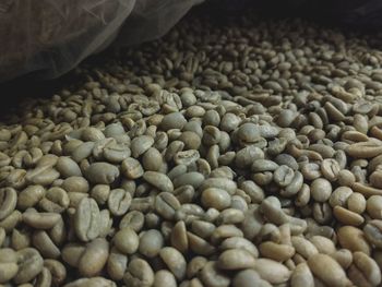 Close-up of coffee beans