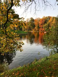 Scenic view of lake by trees during autumn