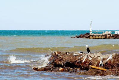 Scenic view of sea against clear sky