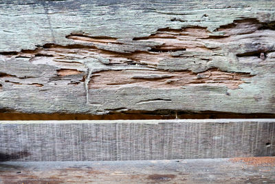 wood