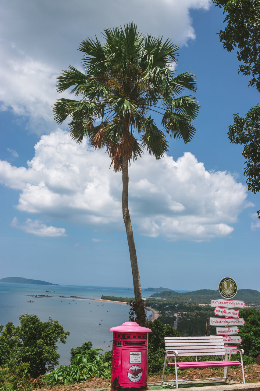 PALM TREES BY PLANTS AGAINST SKY