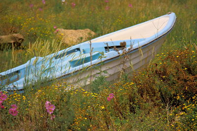 Scenic view of lake amidst grassy field