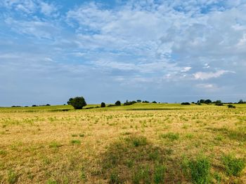 Scenic view of field against sky