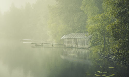 Scenic view of lake by trees