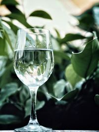 Close-up of wineglass in glass on table