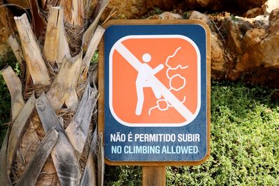 Close-up of road sign against trees