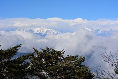 Low angle view of trees and mountains against sky