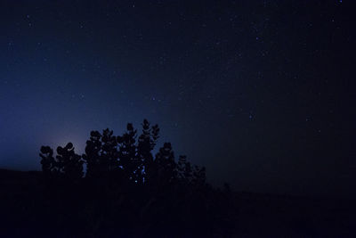 Low angle view of silhouette trees against sky at night