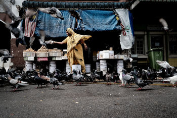 GROUP OF PEOPLE HANGING ON CLOTHESLINE