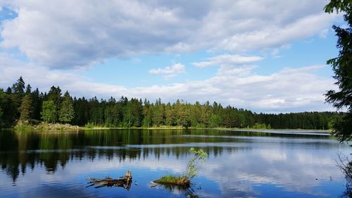 Reflection of trees in lake