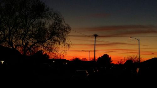 Silhouette of trees at sunset