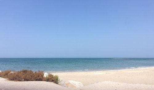 Scenic view of sea against clear blue sky