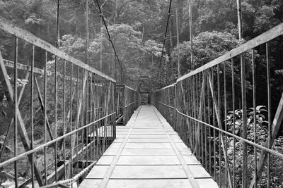 Footbridge in forest