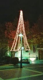 View of illuminated trees at night