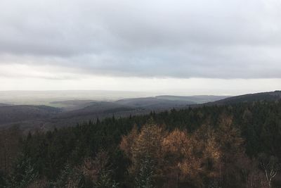 Scenic view of forest against sky