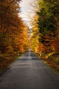 Road amidst trees during autumn