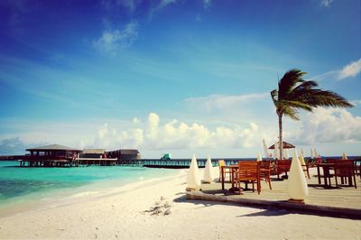 Palm trees on beach against cloudy sky