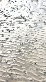 Full frame shot of wet sand