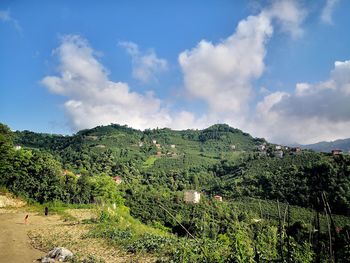 Scenic view of field against sky nature reserve in turkey in the city of trabzon