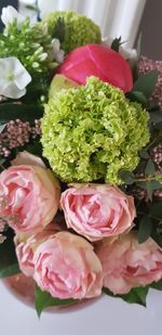 Close-up of pink roses