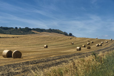 Hay bales on field against sky