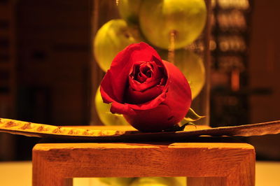 Close-up of red rose on table