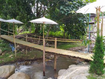 Footbridge over trees by plants during rainy season