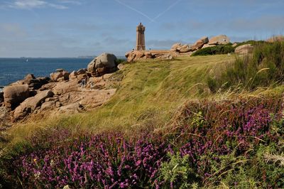 The granit rose coast in ploumanach