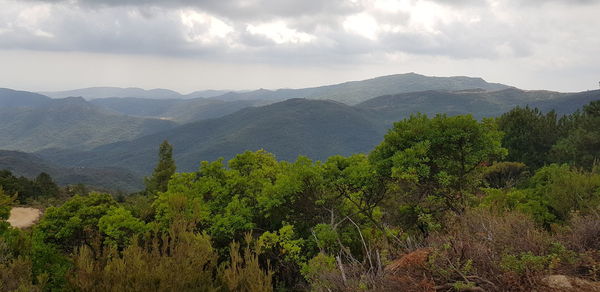 Scenic view of trees and mountains against sky