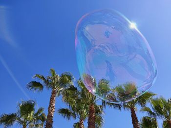Low angle view of coconut palm tree against blue sky
