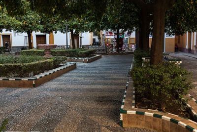 Trees in front of building