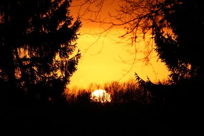 Silhouette trees against sky during sunset