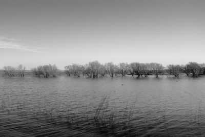 Scenic view of lake against sky during winter