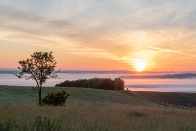 Scenic view of field against sky during sunset