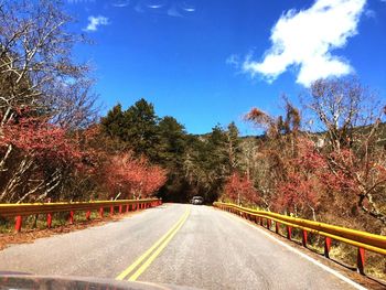 Road amidst trees against sky during autumn