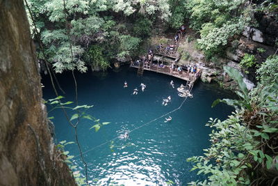 High angle view of people in river amidst trees in forest