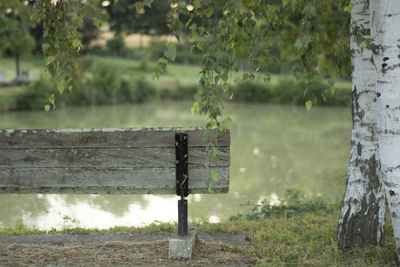 Empty bench on field by trees