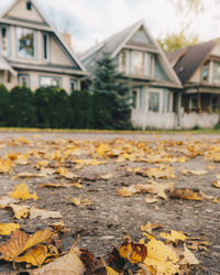 Close-up of yellow autumn leaves against house