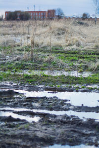 Surface level of river flowing through field