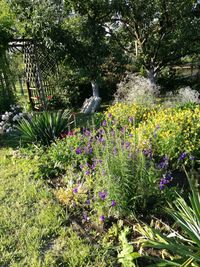 Scenic view of flowers growing on tree