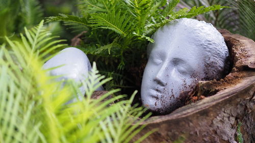 Close-up of mannequin head in planter.